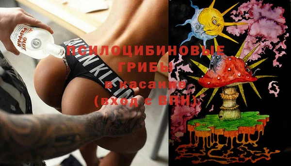 индика Аркадак