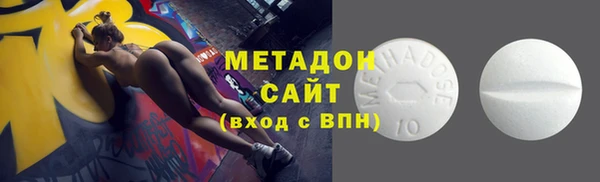 индика Аркадак