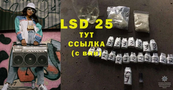 индика Аркадак