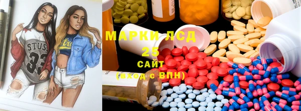 индика Аркадак