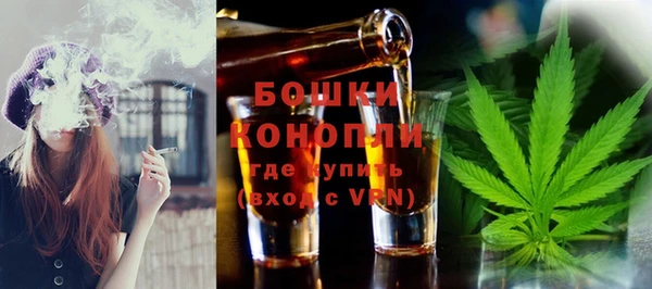 винт Арсеньев