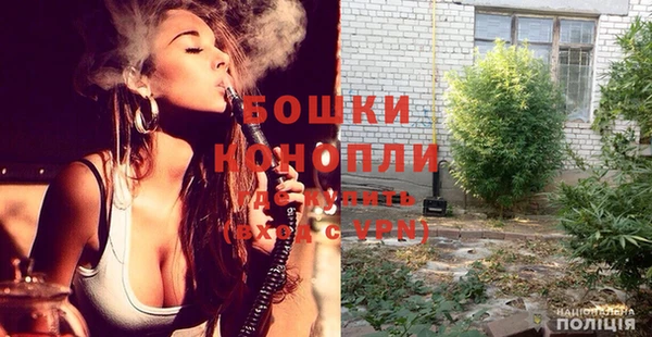 индика Аркадак