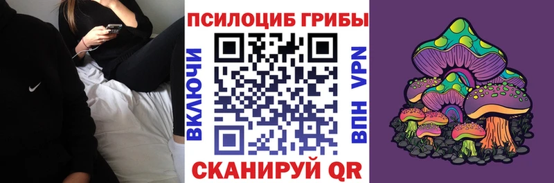 Купить Гдов Псилоцибиновые грибы MAGIC MUSHROOMS